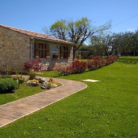 Holiday House Sweet Home Umag Exterior foto